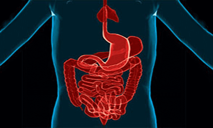 x-ray image of the intestinal tract