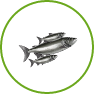 Poissons
